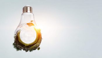 Green landscape inside light bulb Green landscape inside light bulb. Mixed media